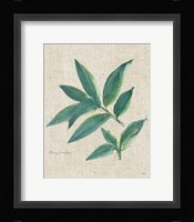 Bay Leaf on Burlap Framed Print