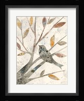 Natural Wonder IV Framed Print