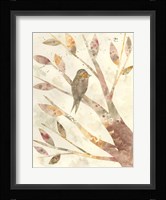 Natural Wonder III Framed Print