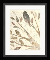 Natural Wonder II Framed Print