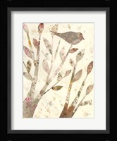 Natural Wonder I Framed Print