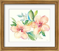 Pastel Garden Hibiscus Fine Art Print