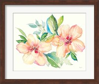 Pastel Garden Hibiscus Fine Art Print