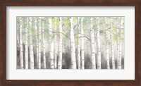 Soft Birches Charcoal Fine Art Print