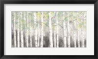 Soft Birches Charcoal Framed Print