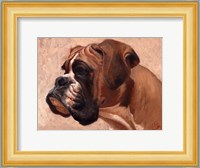 Boxer Fine Art Print