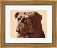 Bulldog Fine Art Print
