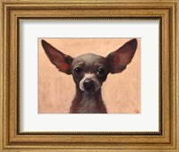 Chihuahua Fine Art Print