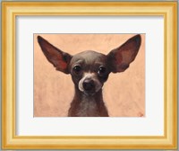 Chihuahua Fine Art Print