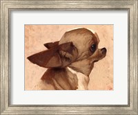 Profile-Chihuahua Fine Art Print
