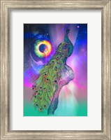 Cosmic Peacock Fine Art Print