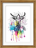 Deer Fine Art Print