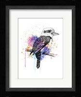 Kookaburra Fine Art Print