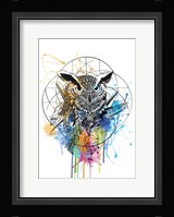 Owl Fine Art Print