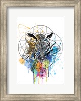 Owl Fine Art Print