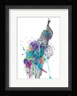Peacock Fine Art Print
