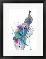 Peacock Fine Art Print