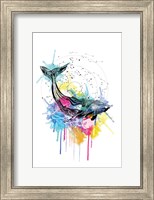 Whale Fine Art Print