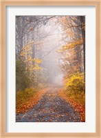 Road and Autumn Mist Fine Art Print
