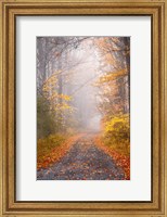 Road and Autumn Mist Fine Art Print