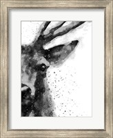 Deer At Attention Fine Art Print