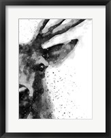 Deer At Attention Fine Art Print