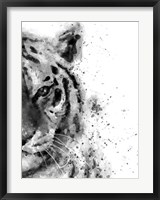 Tiger At Attention Fine Art Print