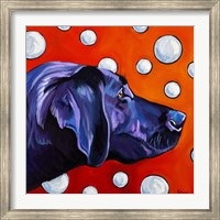 Lab and Bubbles Fine Art Print