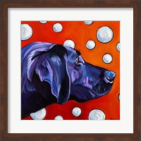 Lab and Bubbles Fine Art Print