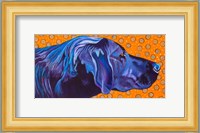 Lab With Orange Fine Art Print