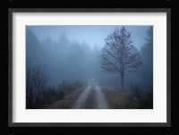Spring Fog Fine Art Print