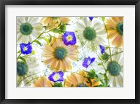 Gerbera flowers and Blue Ensign Fine Art Print