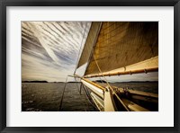 Heading for the Harbor Fine Art Print