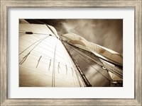 All Sails Set Fine Art Print