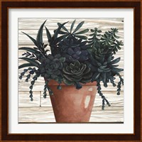Remarkable Succulents III Fine Art Print