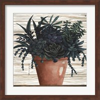 Remarkable Succulents III Fine Art Print