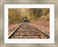 Great Smoky Mountains Railroad Fine Art Print