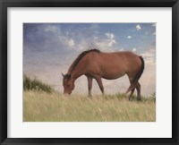Assataegue Horse Fine Art Print