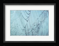 Nature's Jewels I Fine Art Print