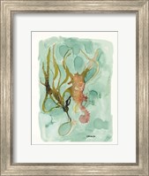 Seahorse 2 Fine Art Print
