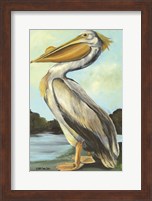 The Grand Pelican Fine Art Print