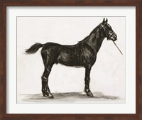 Horse Study 3 Fine Art Print