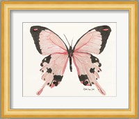 Butterfly 1 Fine Art Print