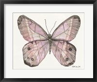 Butterfly 5 Fine Art Print
