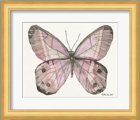 Butterfly 5 Fine Art Print