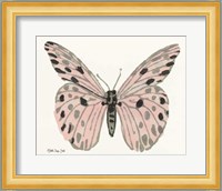 Butterfly 6 Fine Art Print