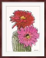 Cactus Flower 1 Fine Art Print