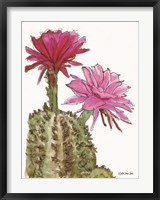Cactus Flower 2 Fine Art Print