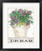 Dream Succulents Framed Print