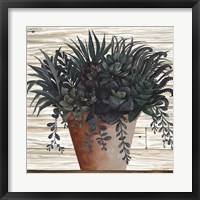 Remarkable Succulents I Framed Print